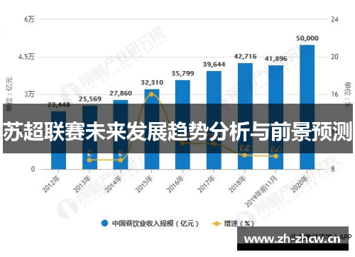 苏超联赛未来发展趋势分析与前景预测